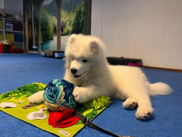 06c516d6 2404 47bd Bbc7 1a42bdb809d5