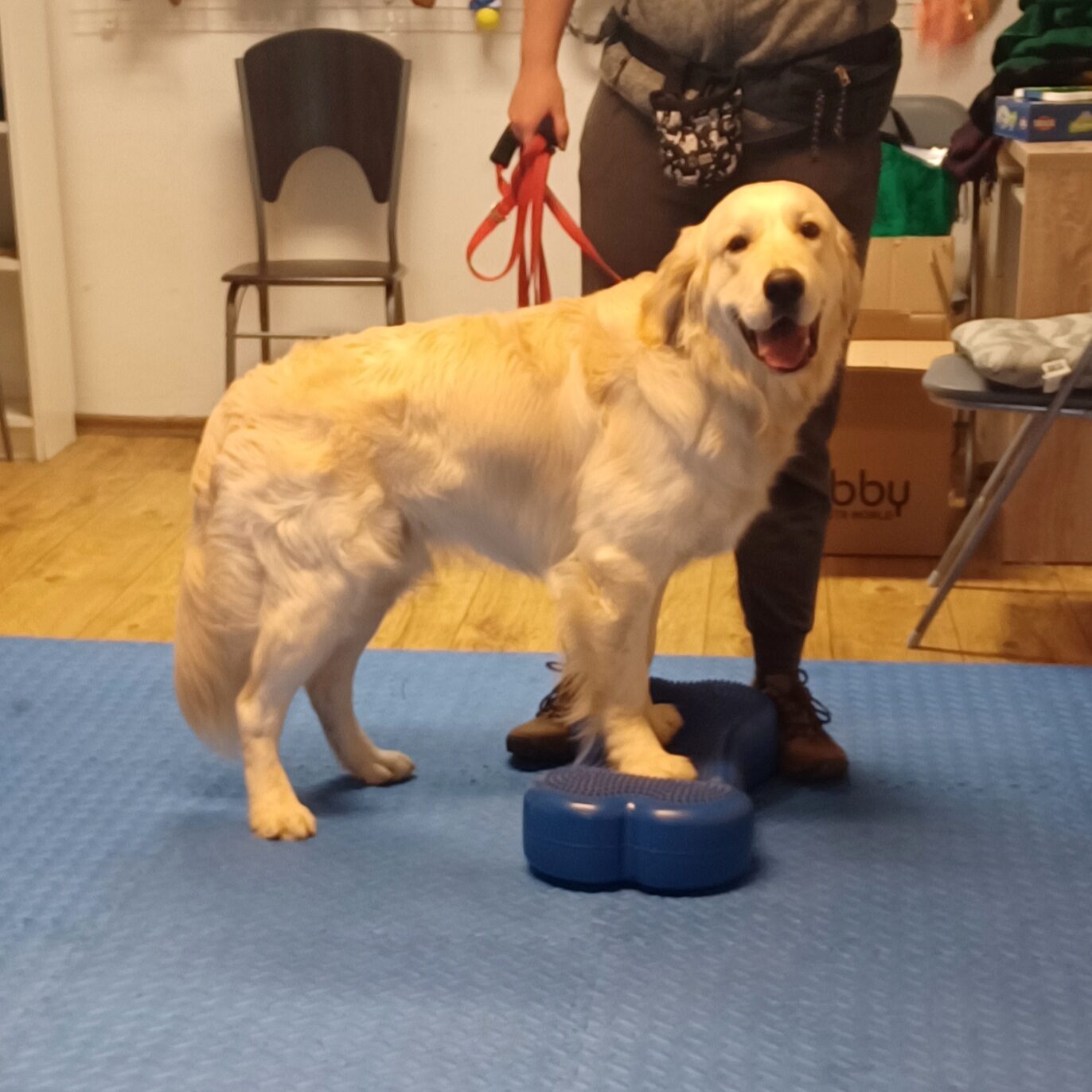 20221119 094340 E1769084592388