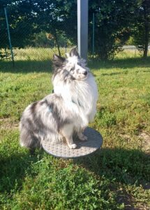 20250903 0955371 215x300