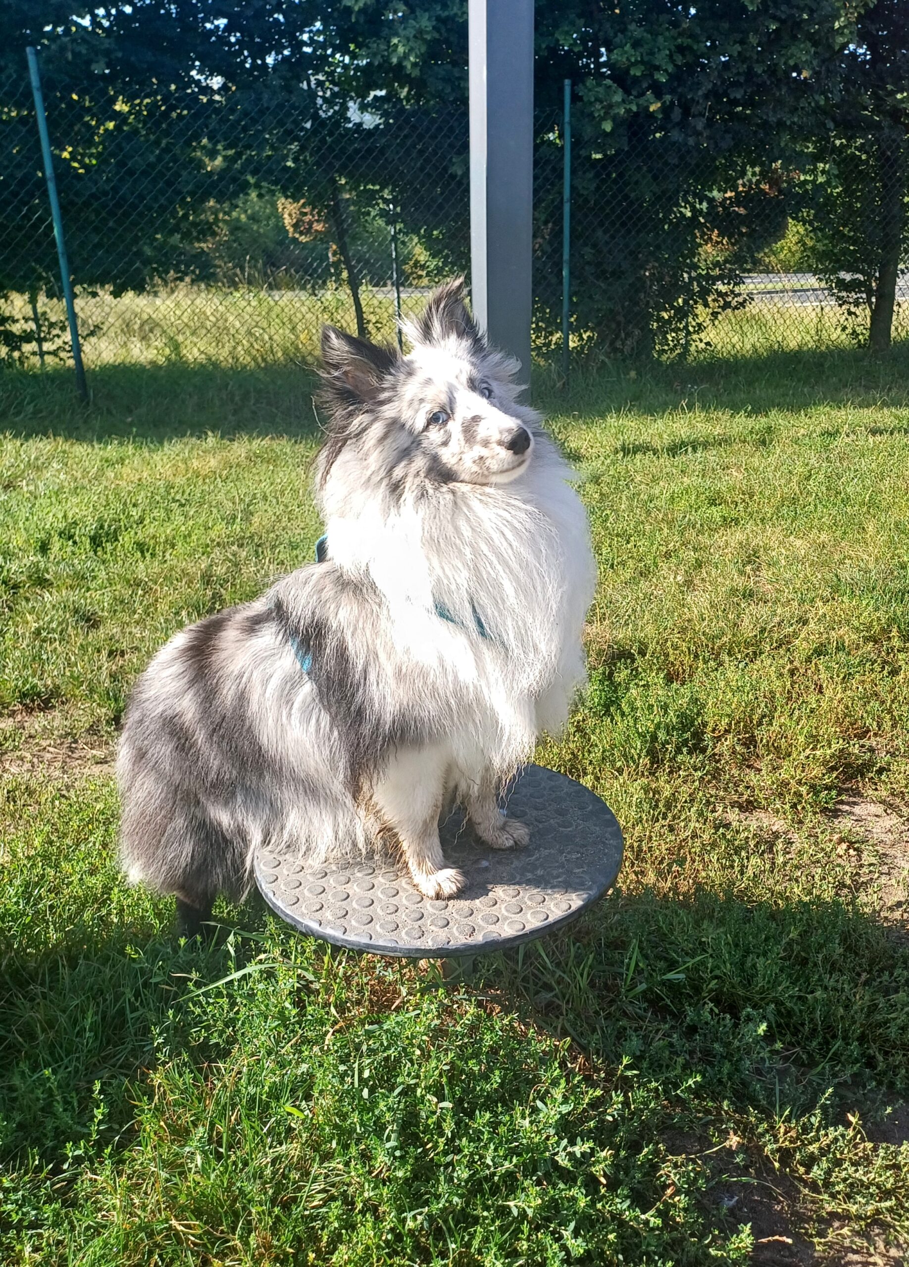 20250903 0955371 Scaled