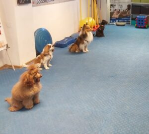 20260104 111118 1 Scaled E1770015490158 300x269