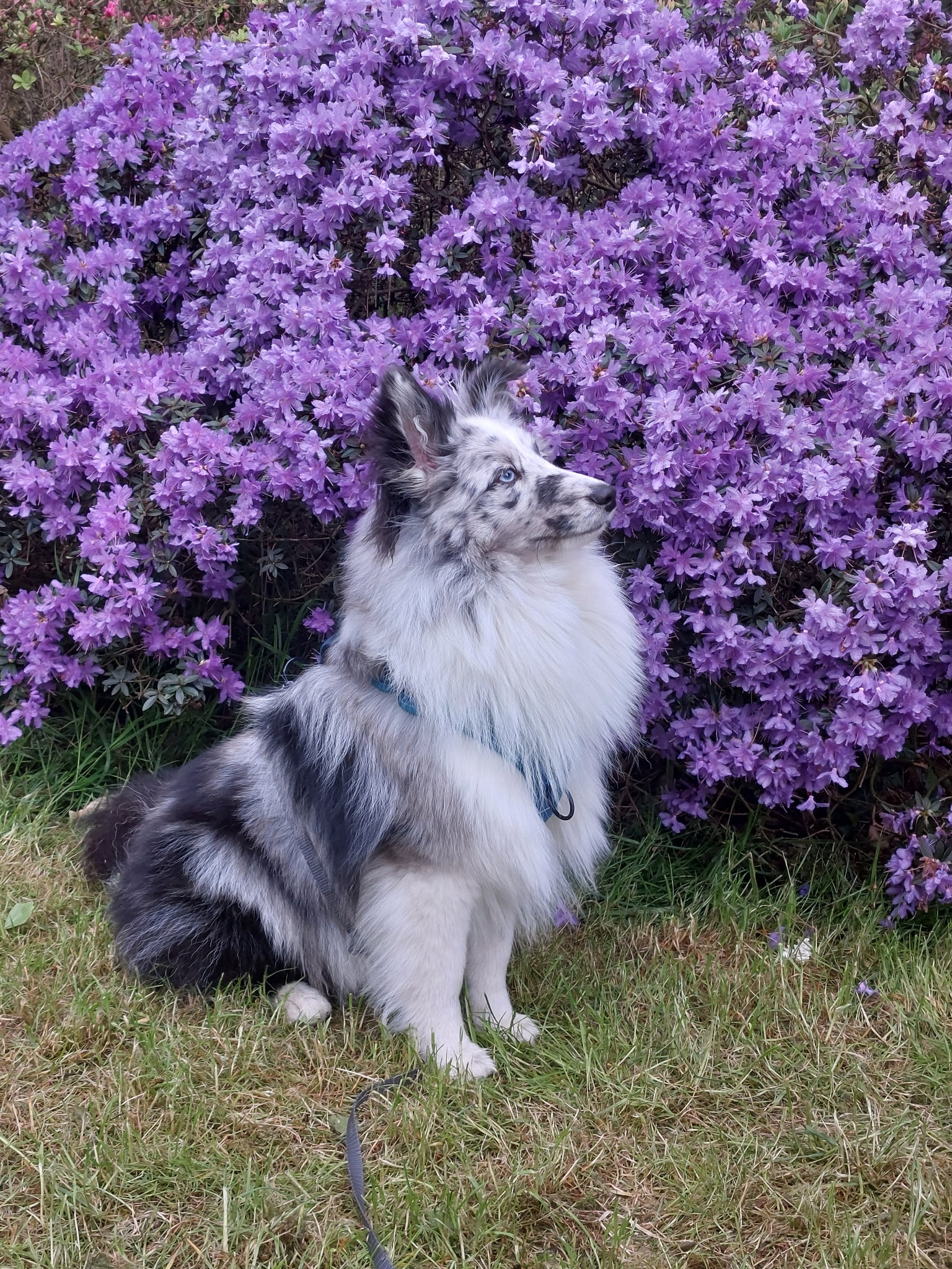 30e8098d D41d 4257 Abdc D8e0f14a5c5d