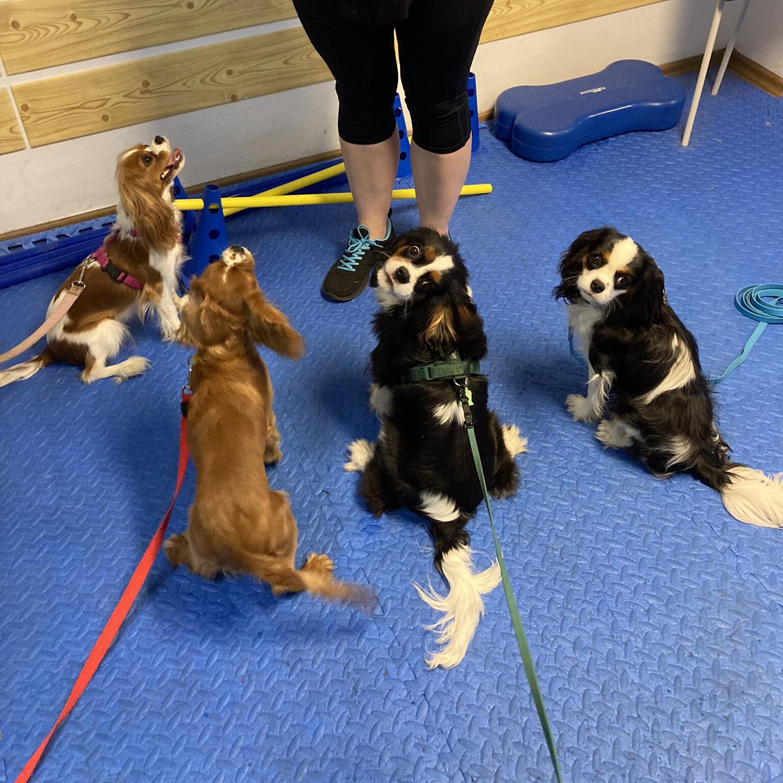 378133617 6510043525769616 6602234334796807502 N E1769084728990