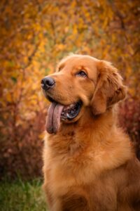 474335b8 Fd26 4bf6 Bfdf C2f17bdb756c 1 200x300