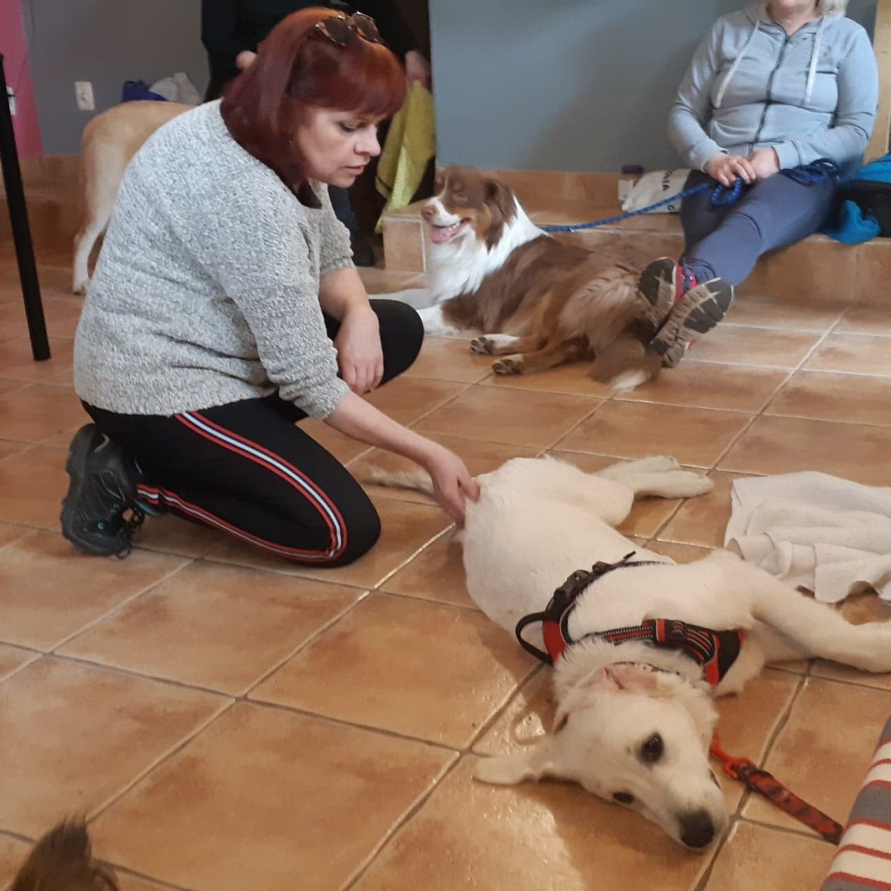 58419534 438418266907484 4271451229067935744 N E1769084669593