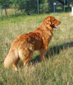 6357ff8b 05fe 44eb 8d7b 56c5b762e7e1 1 258x300