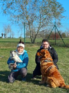 20241102 113048 225x300