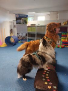 20250808 110844 225x300