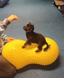 20251002 112807 Scaled E1770284054704 246x300