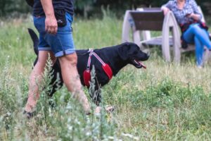 4abb5a3a 2d4e 4c44 9e02 a973059cea41