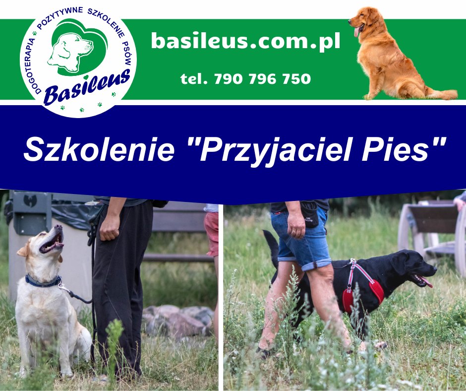 546707305 1439116414889652 5011218917687805786 N