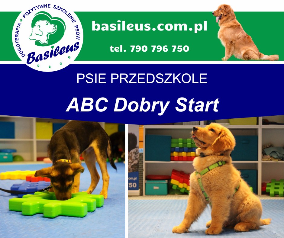 615928695 1566645765470049 1598310469328894744 N