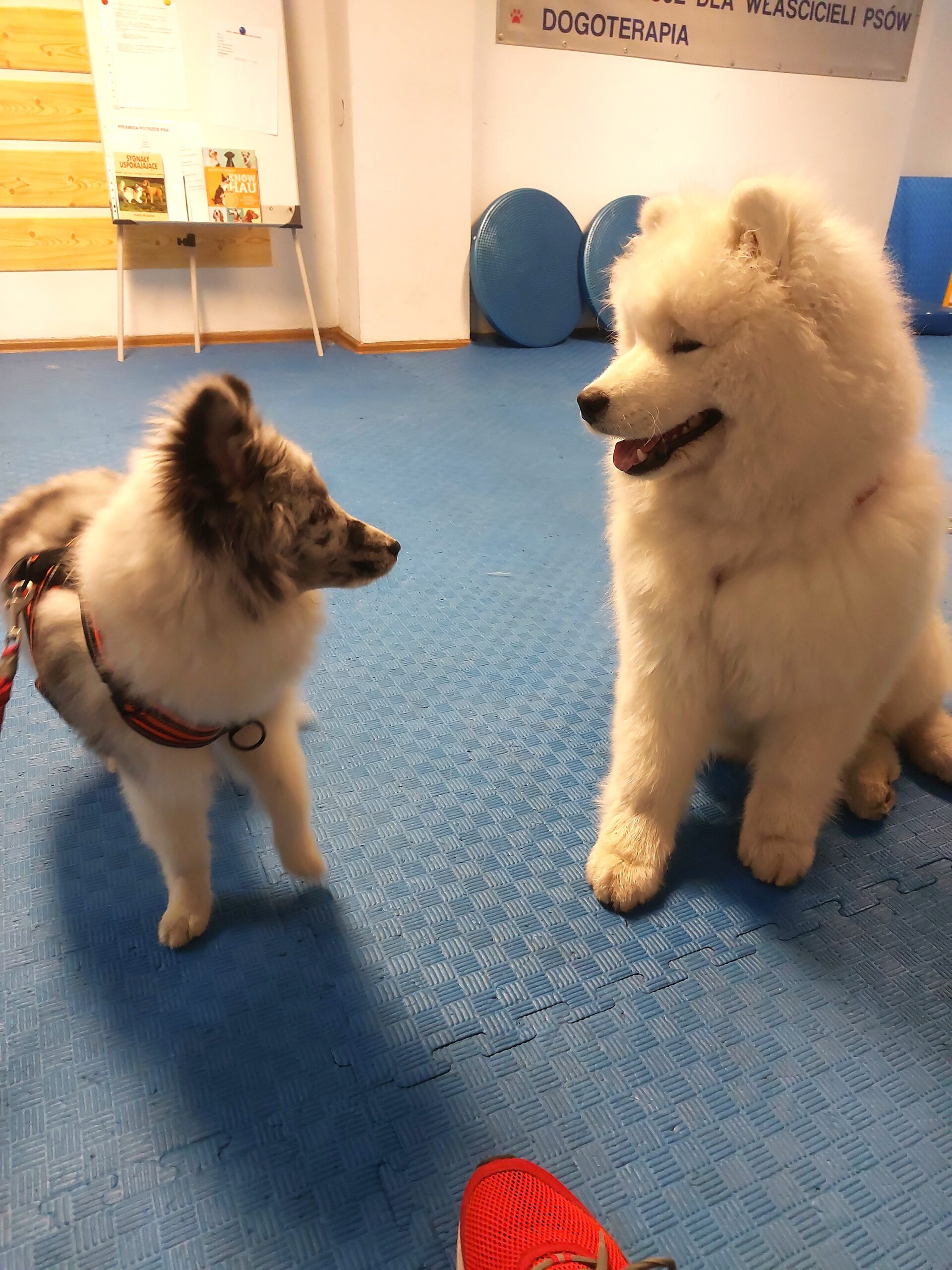 IMG 20250105 113535 Scaled