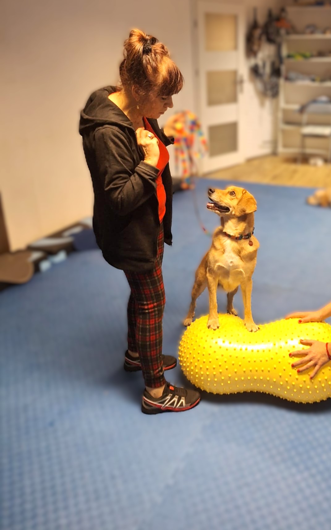 Messenger Creation 8FB39D1F DD06 4869 8D5C 44A9708AF231