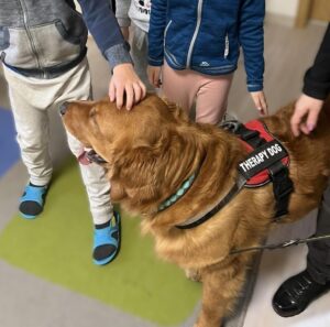 A3d1bbb0 6ddf 4af7 Bdb4 344910e32381 300x297