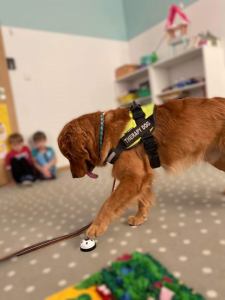 D08c3557 6e29 4cc8 963e 4ad9fcbfcee9